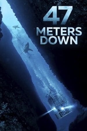 47 Metres Down (2017) Hindi Dual Audio 480p BluRay 300MB