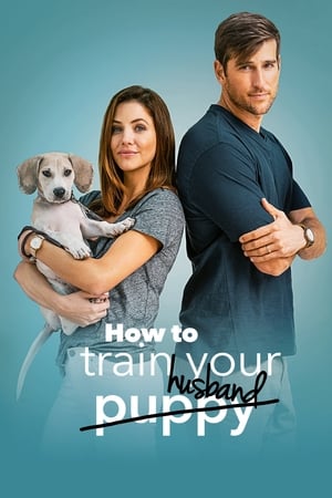 How to Train Your Husband 2018 Hindi Dual Audio 720p BluRay [1GB]