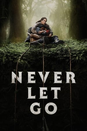 Never Let Go 2024 Hindi Dual Audio HDRip 1080p – 720p – 480p