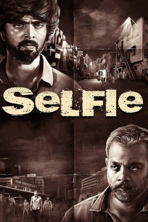 Selfie (2022) [Hindi + Tamil] HDRip 720p – 480p – 1080p