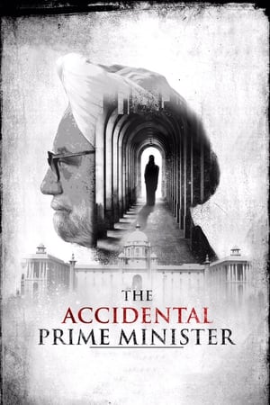 The Accidental Prime Minister (2019) Hindi Movie 720p HDRip x264 [1GB]