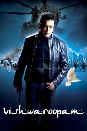 Vishwaroopam (2013) Hindi Dubbed 720p HDTVRip [1.2GB]